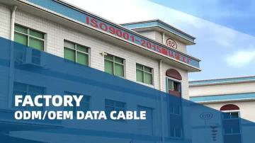 company video