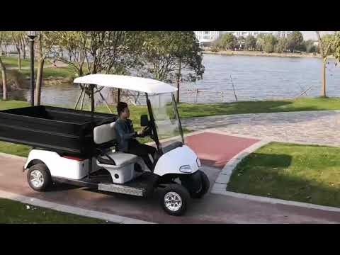 Beautiful battery powered golf cart with cargo use hotel.