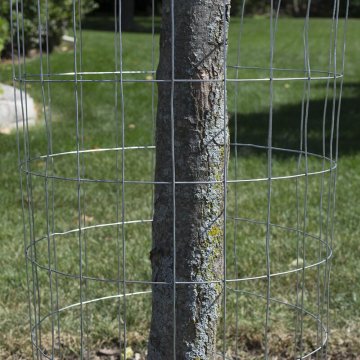 Top 10 China Welded Wire Mesh Manufacturing Companies With High Quality And High Efficiency