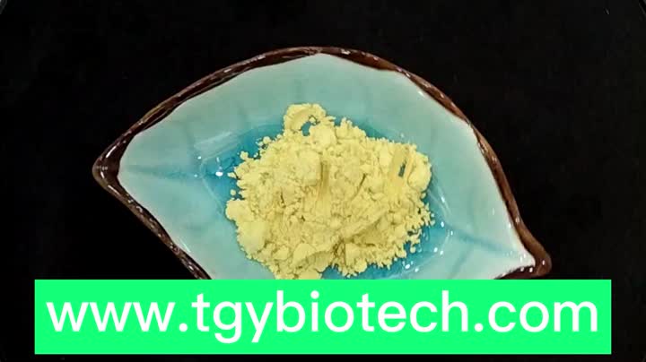 alpha lipoic acid