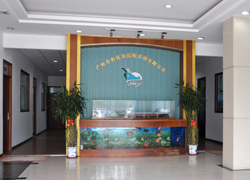 Lichangtai Shipping Company