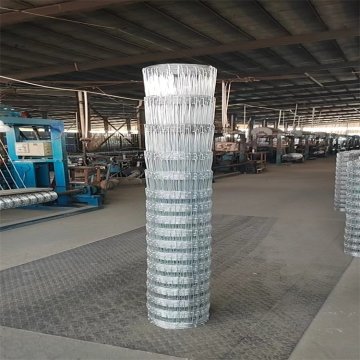 Ten Chinese Galvanized Field Fence Suppliers Popular in European and American Countries