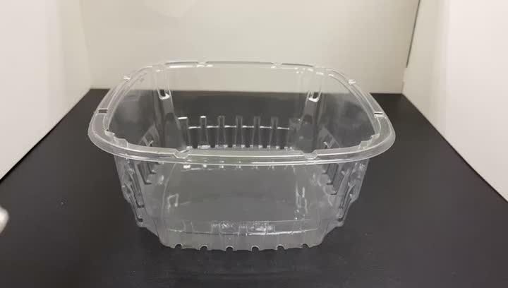 Plastic Fruit Packaging Container