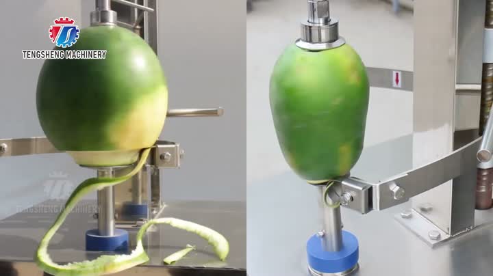 Máquina de descascar vegetais TS-P80