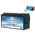 MeritSun Low Temperature 12V 100AH Lithium Battery with BT and Self Heating for Marine Solar Energy Systems1