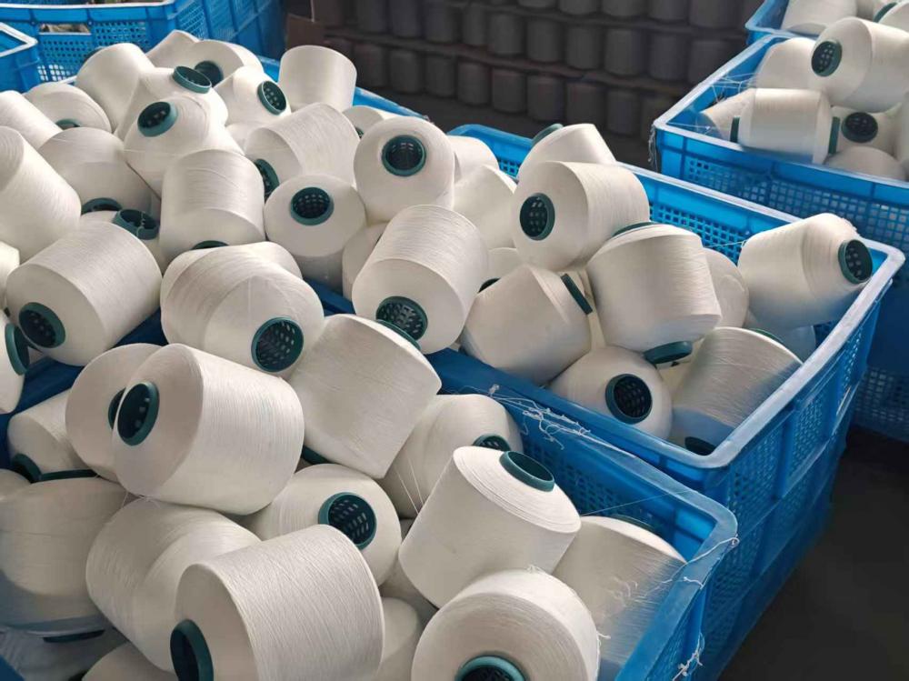 微信图片_20251108164440_341_1