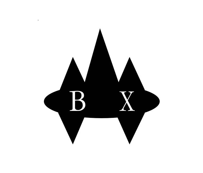 Jingjiang Baoxing Plastic Manufacturing Co., Ltd.