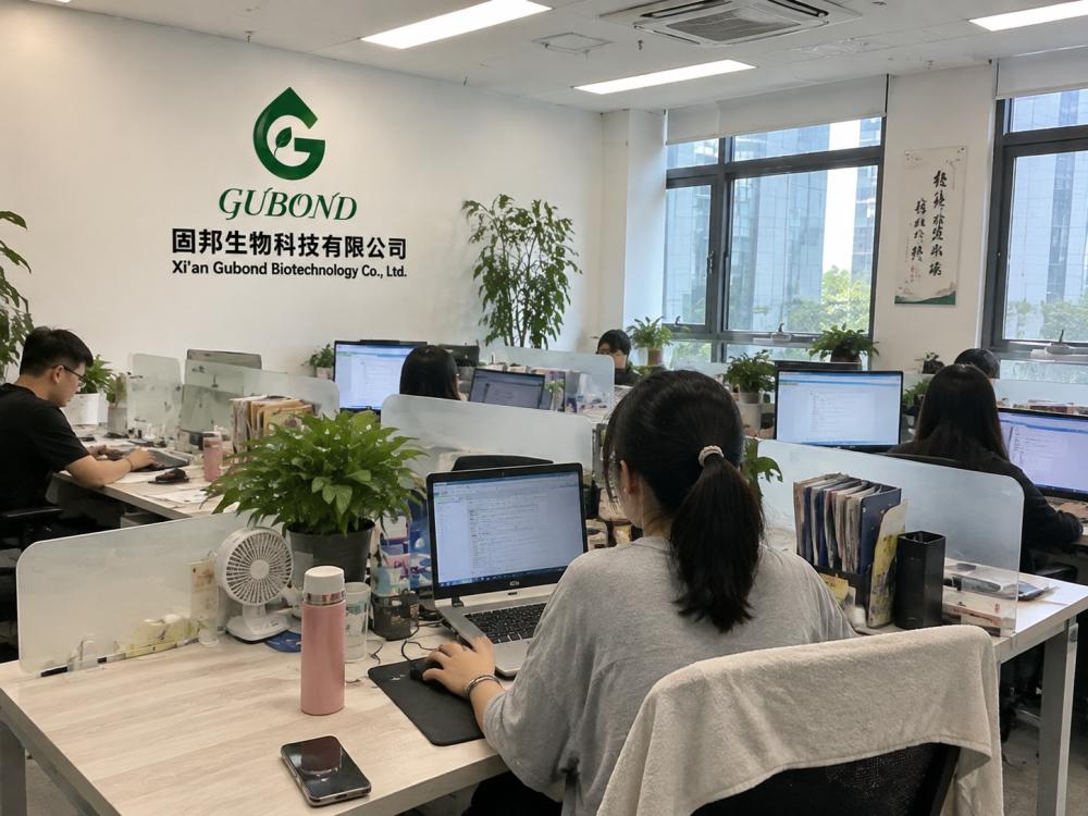 办公 (2)