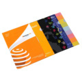 Custom 4 Color Printing FC L Shape PP Document File Folder with Small MOQ1