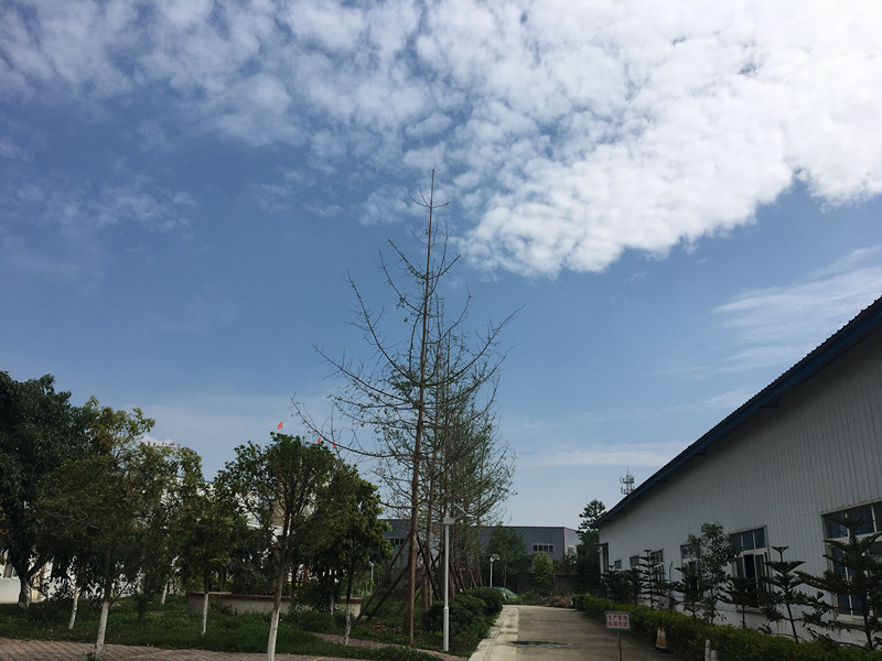 Guanghan Longrun Science and Trade Technology Trade Co., Ltd.