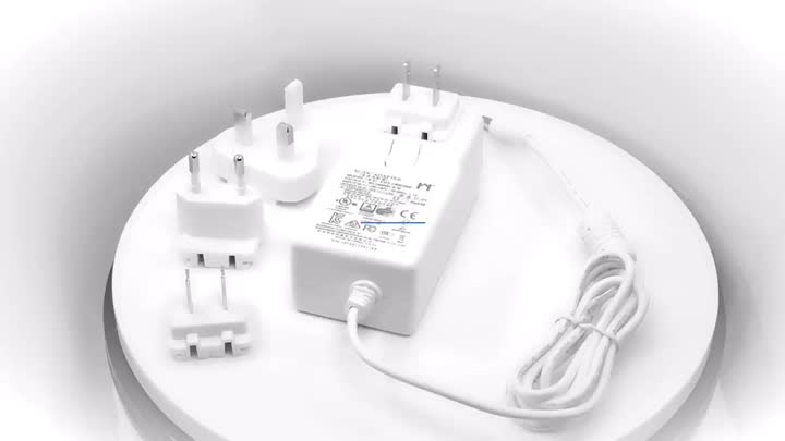 Adaptador de alimentación de enchufes intercambiables de color blanco de 60 vatios