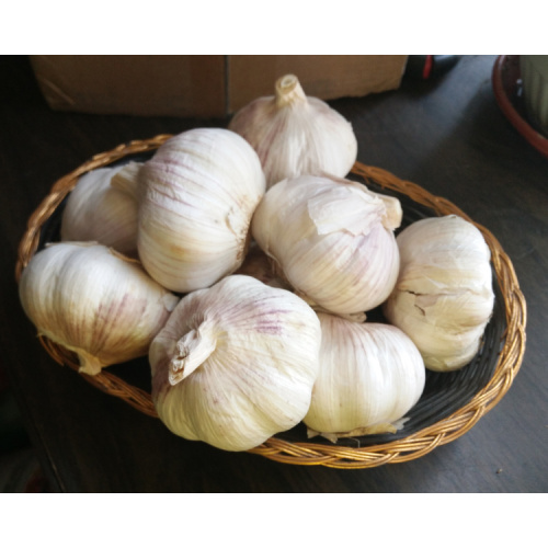 রসুনের পুষ্টিগুণ এবং স্বাস্থ্য উপকারিতা