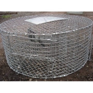 China Top 10 Bird Traps Cage Brands