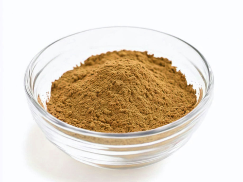 Unearthing the Marvels of Mushroom Extracts