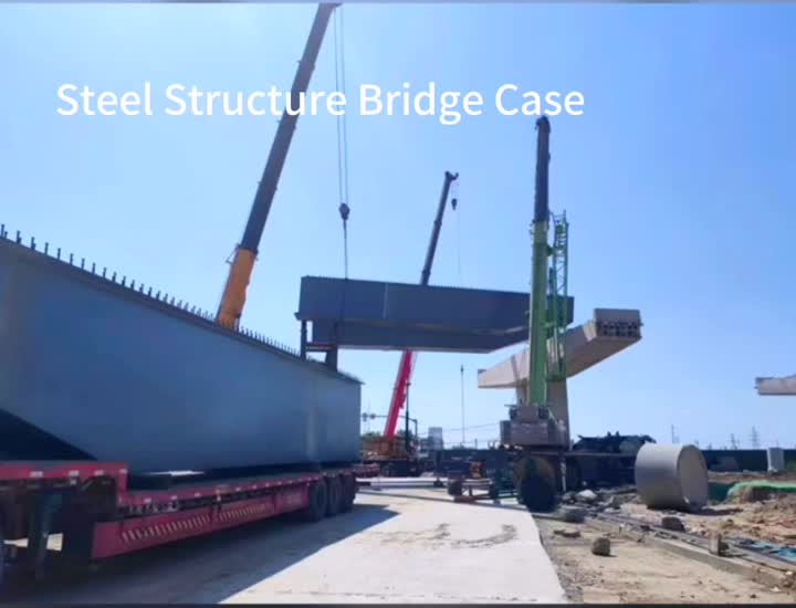 Steel Structure Bridge Case