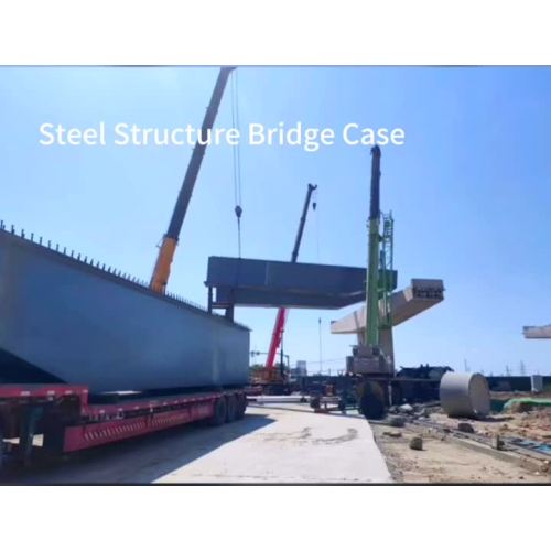 Steel Structure Bridge Case