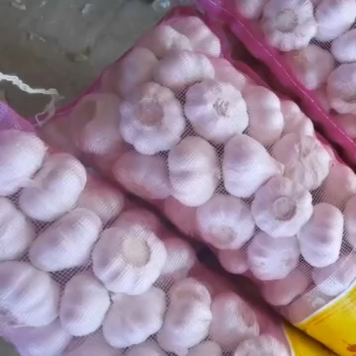 garlic processing 3