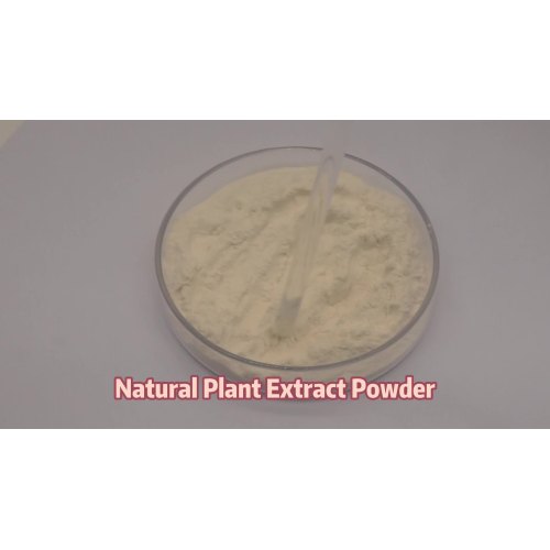 Pea Protein Isolate Powder
