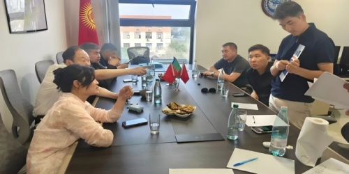 Prohlubování rozvržení Střední Asie: Tým Yawei poskytuje technické pokyny na místě na výrobní základně Kyrgyzstánu