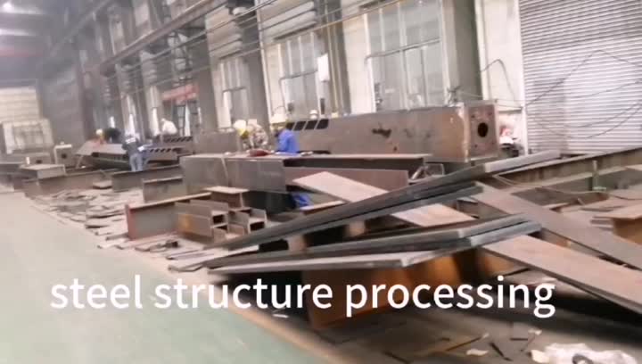 steel structure process &case