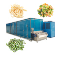 Green Peas Beans Baby Corn Frozen Vegetable Processing Line1