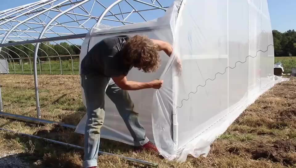 Greenhouse Single Single High Tunnel Film Greenhouse for Agriculture1