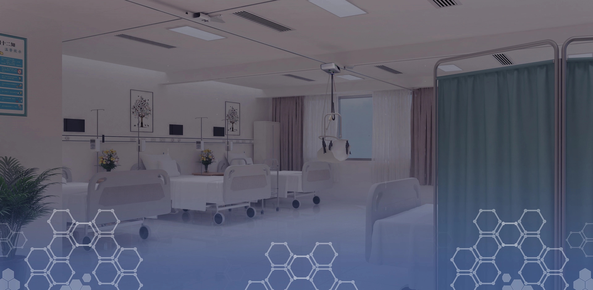 Shanghai Meddo Medical Devices Co.,Ltd