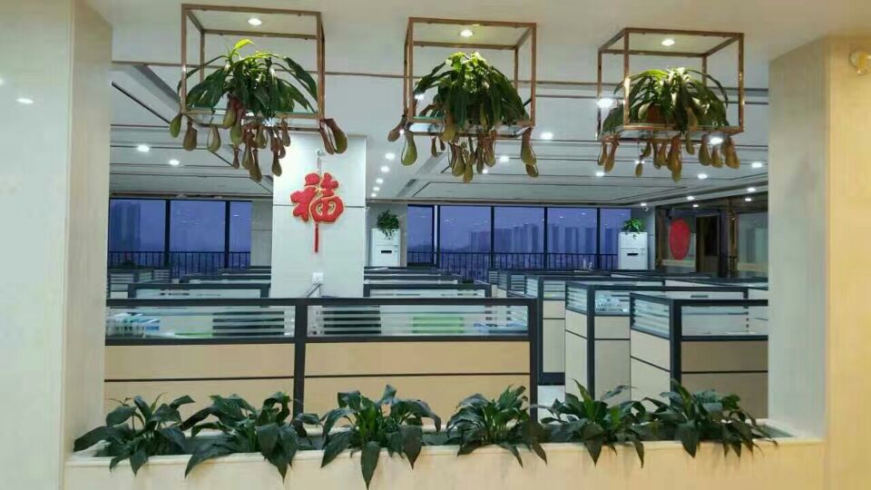 Kinderbo Industry Co., Ltd.