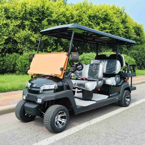 How to solve the problem of Golf Cart charging failure