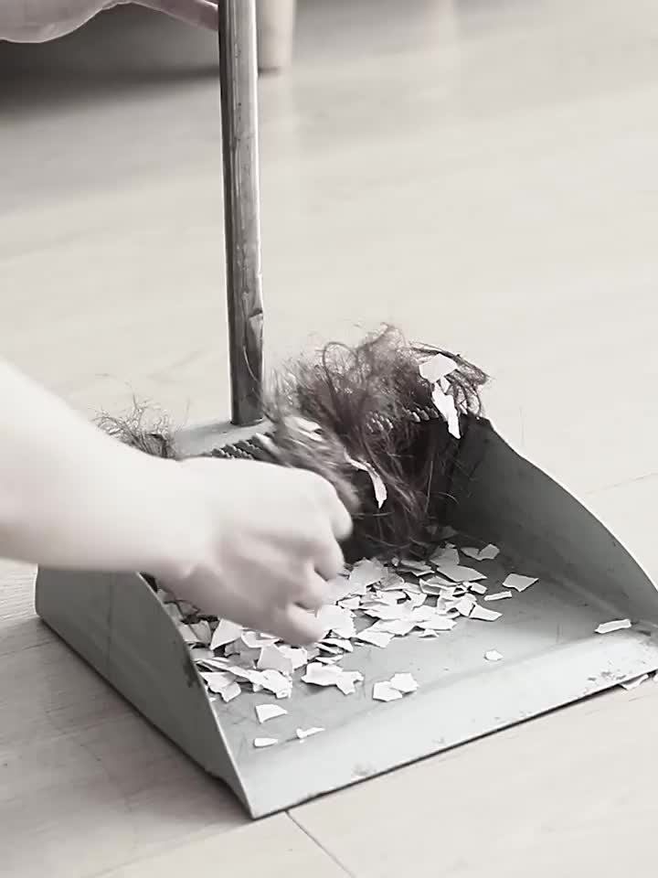 dustpan broom video 2