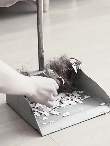 dustpan broom video 2