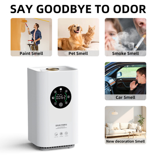 Suy nghĩ lại về việc kiểm soát mùi của thú cưng: Ngoài việc làm mát không khí và hướng tới loại bỏ thực sự