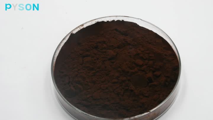 Chaga Extract 25%