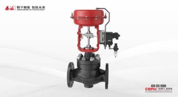 single-seat control valve