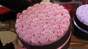 Round Preserved Flower Gift Box