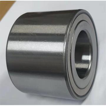 China Top 10 Double Row Roller Bearing Brands