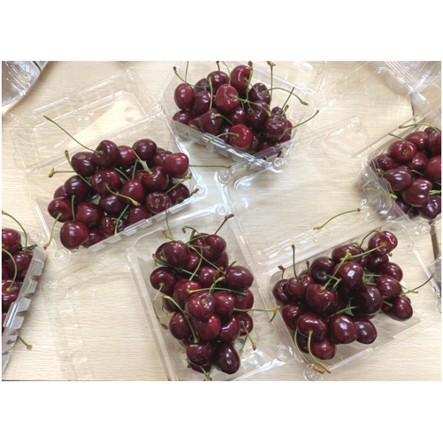 Clamshells Provide Visibility to Shoppers and protect produce