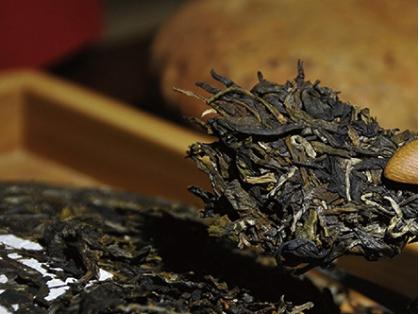 Shan-tea (Yunnan) Co., Ltd.