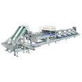 Hot Selling Pistachio Sorting Machine: Simultaneous Shape and Color Sorting1
