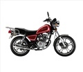 FEKON 150cc Motorcycles: Other Models and Options1