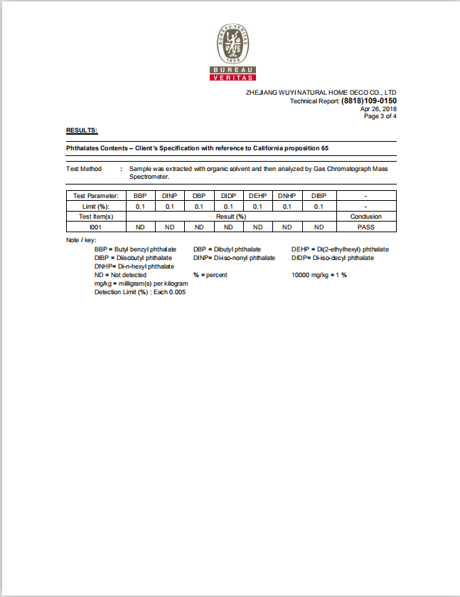 Technical report