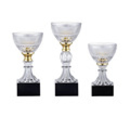 Trophée Crystal Custom Design Glass Honor Autorisation Plaque Trophée transparent personnalisé1