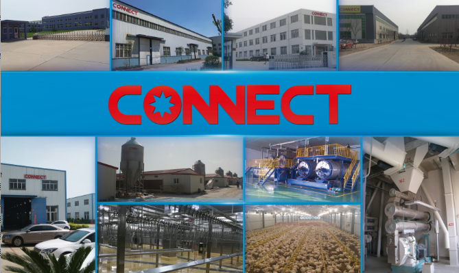Connect Group For Poultry Project