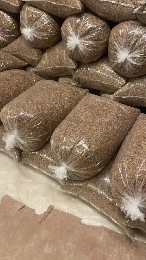 Dried Mealworms For Pet Food