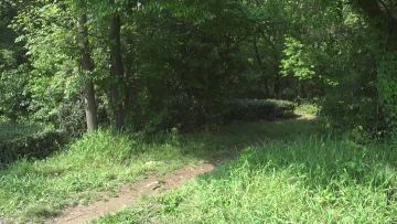 Electric Mountain Bike Lixa