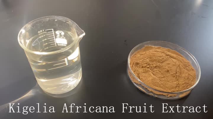 Kigelia Africana Obstextrakt