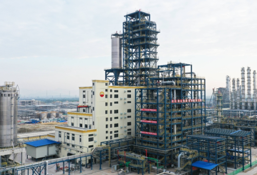 Sinopec 800kt/a salt and nitrate co-production plant project