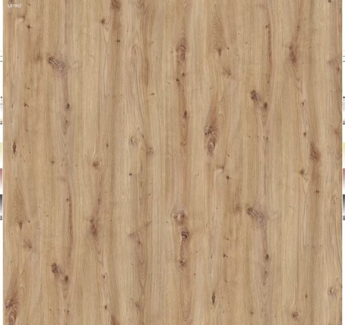 Jiangsu Visionbon New Materials stellt neue PVC-Dekorfolienkollektionen mit Holzmaserung vor