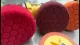 Honeycomb Structure Sponge Polishing Pad With Back Plate