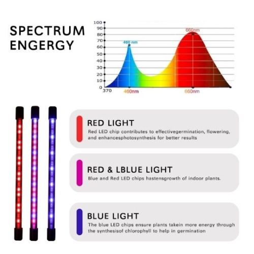 What kind of conditions and spectra do you need to grow blueberries?